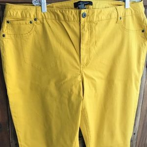 Ashley Stewart Soft Mustard Yellow Jeans SZ 24